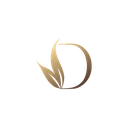 Divine Icon